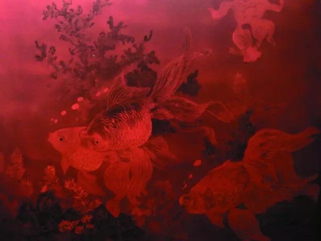 640.webp (7)_副本.jpg